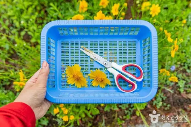 괴산한지체험박물관 사진