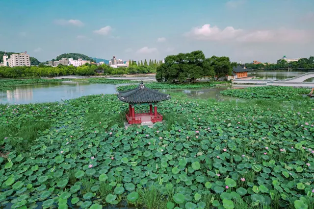 덕진공원 사진
