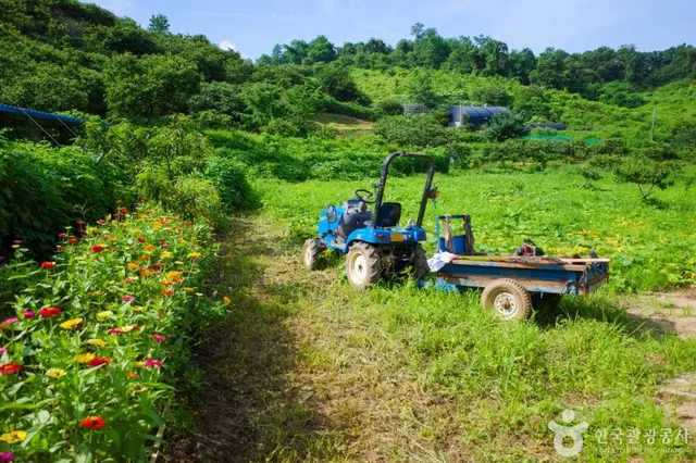 계수밤농장 사진