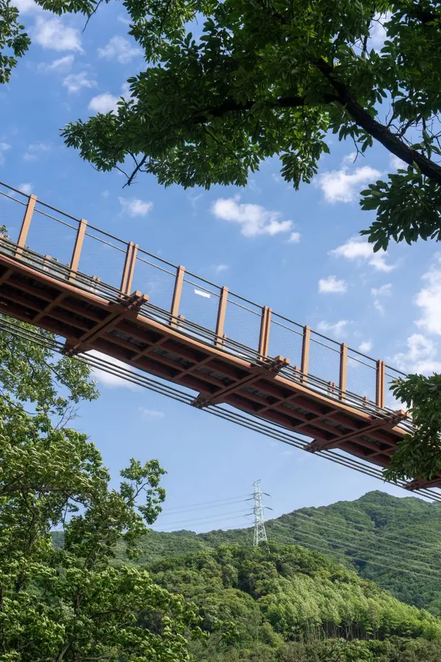 마장호수 출렁다리 사진