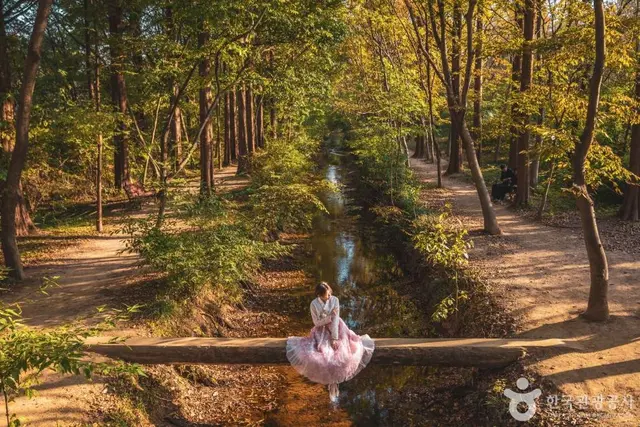 경북천년숲정원 사진