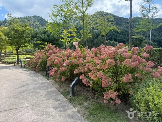 수타사 농촌테마공원 사진
