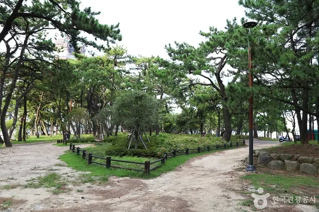 송림공원 사진