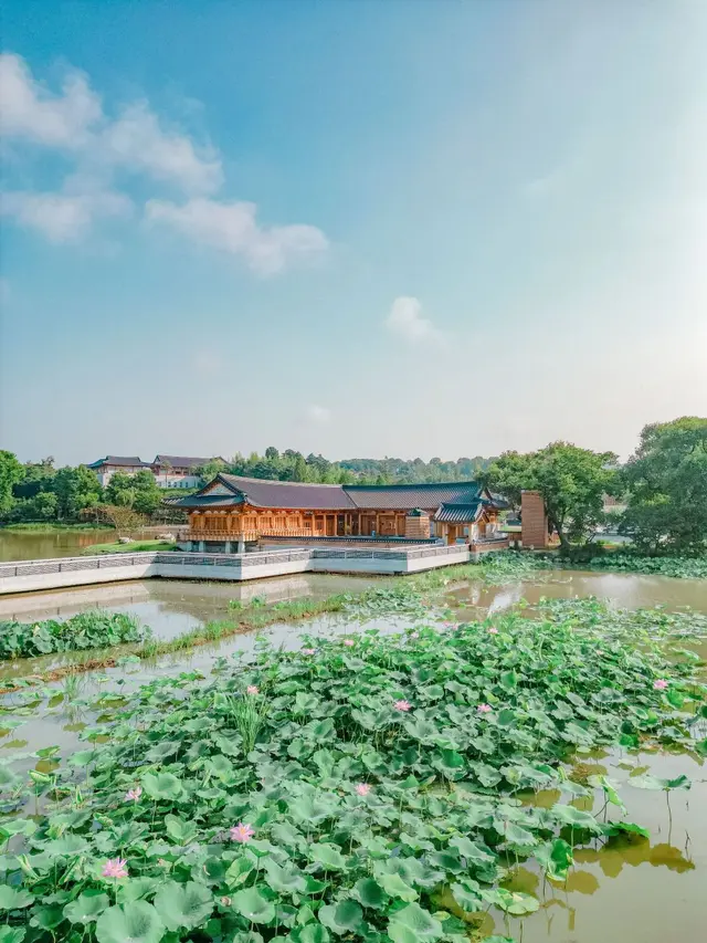 덕진공원 사진