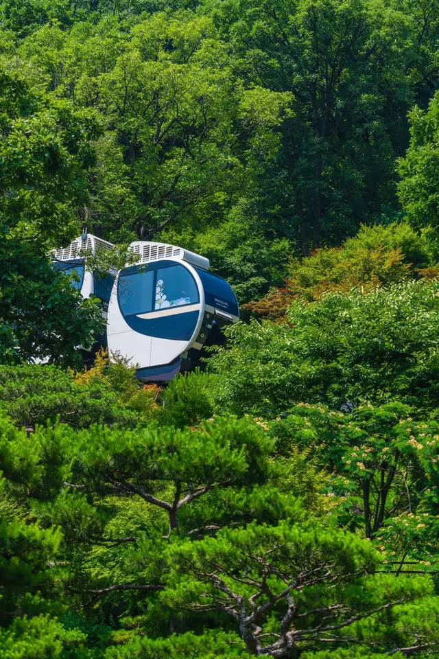 화담숲 사진