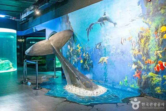 울진아쿠아리움 사진