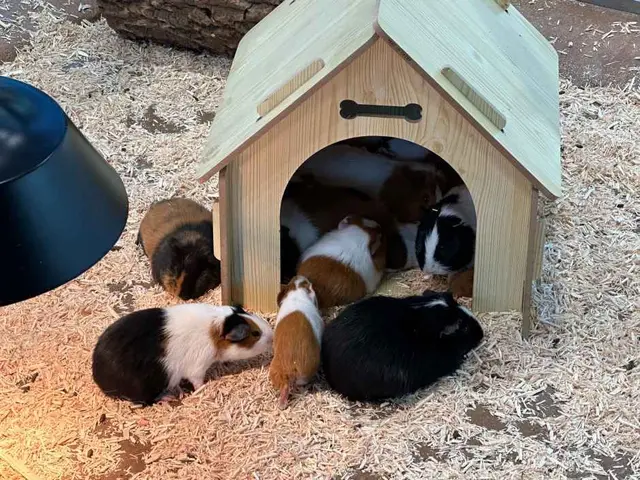와글와글 동물원 사진