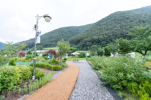 삼척미로정원 사진
