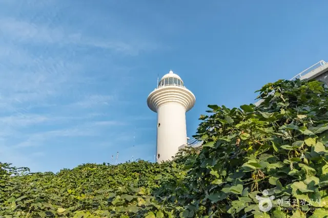 울릉도등대(태하등대) 사진