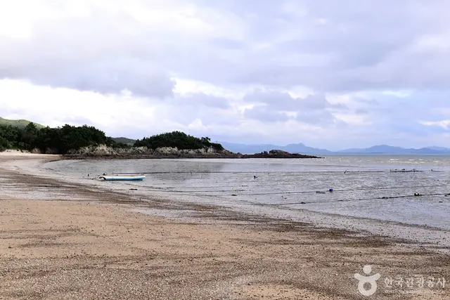 두포갯벌체험장 사진