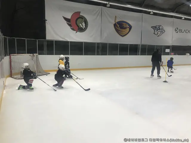 블랙아이스링크장 사진
