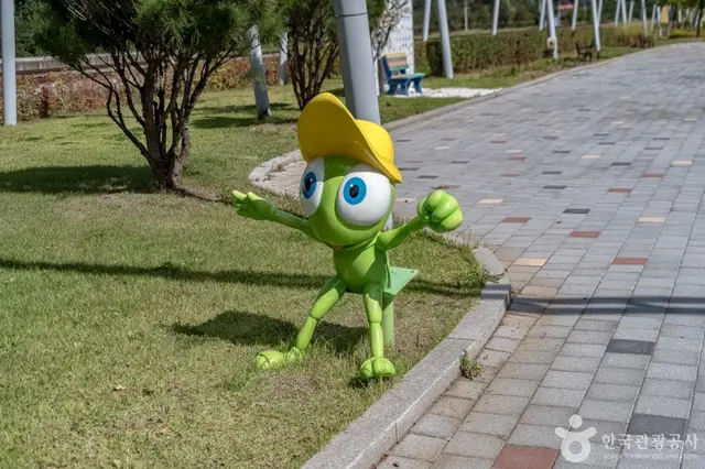 정선벅스랜드 사진