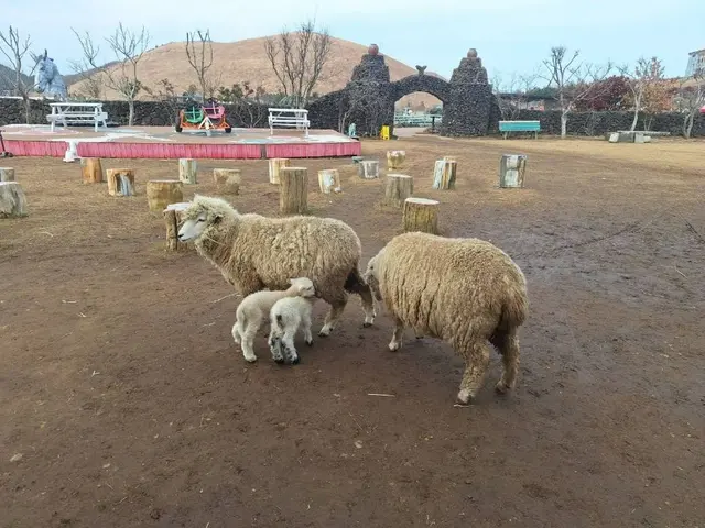 새별프렌즈 사진