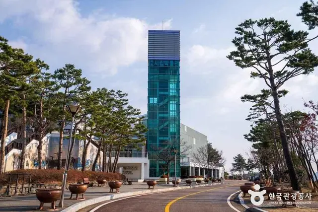 속초시립박물관 사진