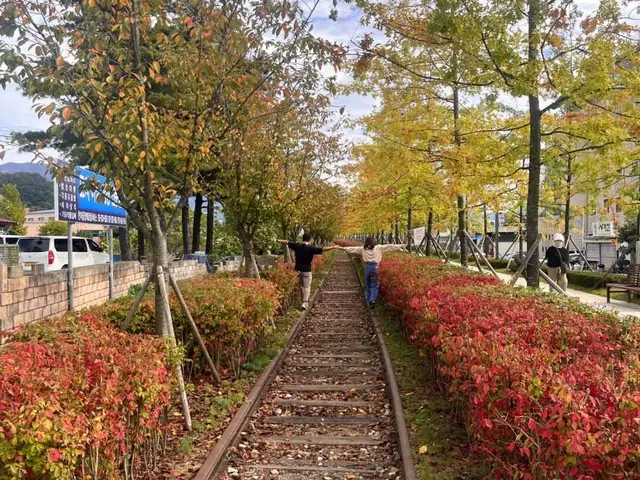 치악산 바람길숲 사진