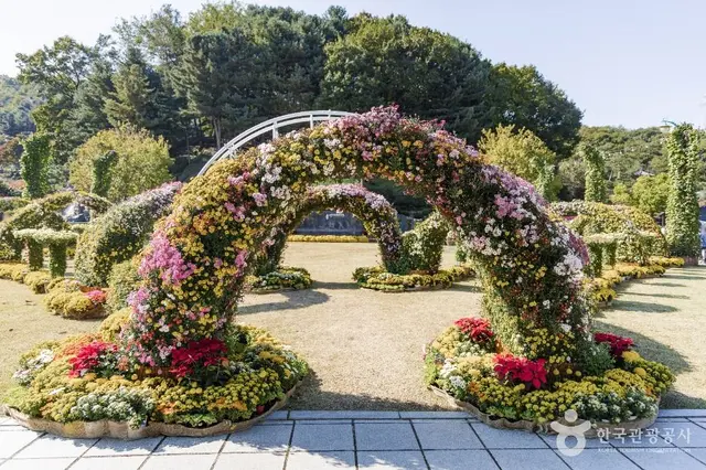 용인농촌테마파크 사진