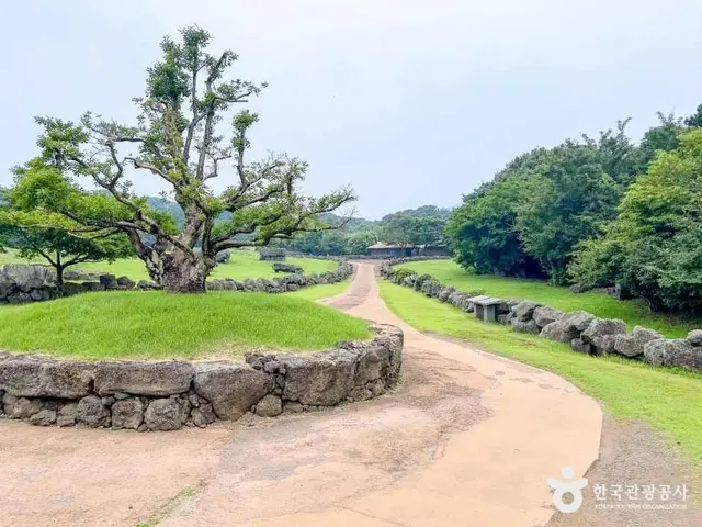 제주돌문화공원 사진