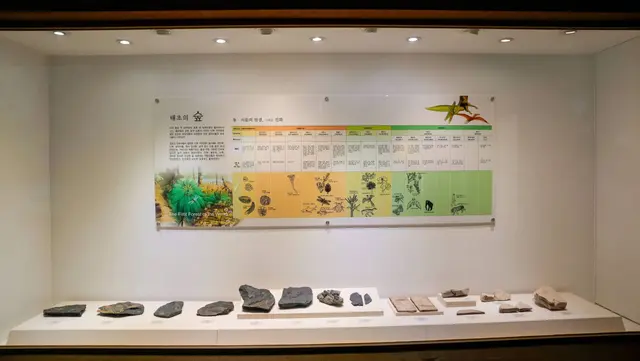 미동산수목원 사진