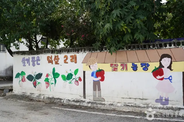 널위한딸기농장 사진