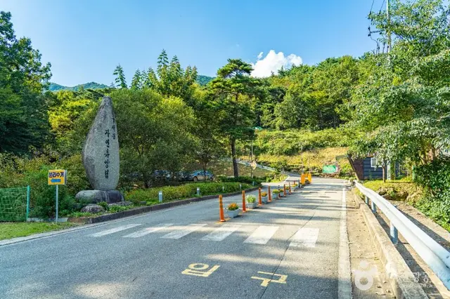 구재봉자연휴양림 사진
