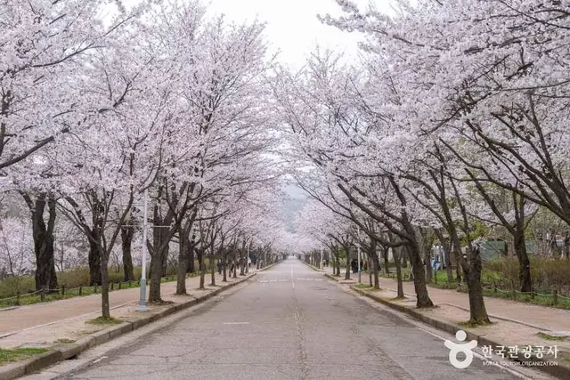 인천대공원 사진