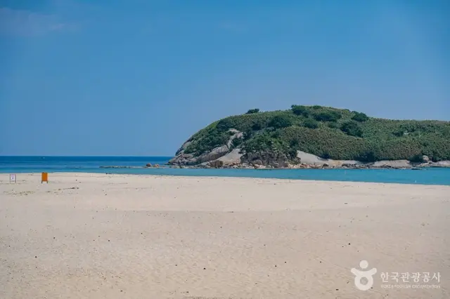 송지호해수욕장 사진