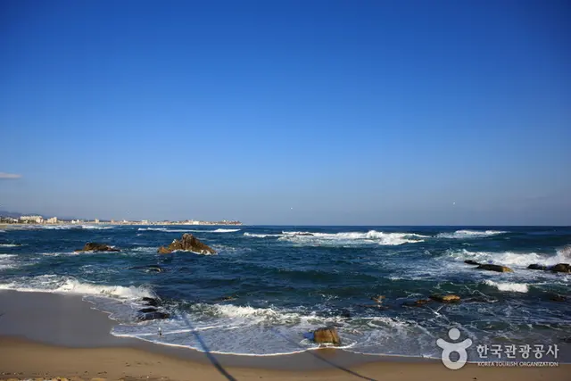 영진해변 사진