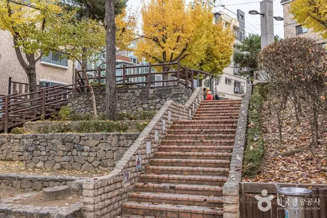쌈지 어린이공원 사진