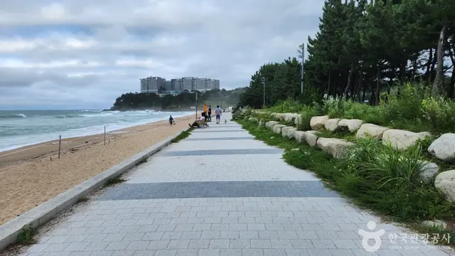 속초해수욕장 사진