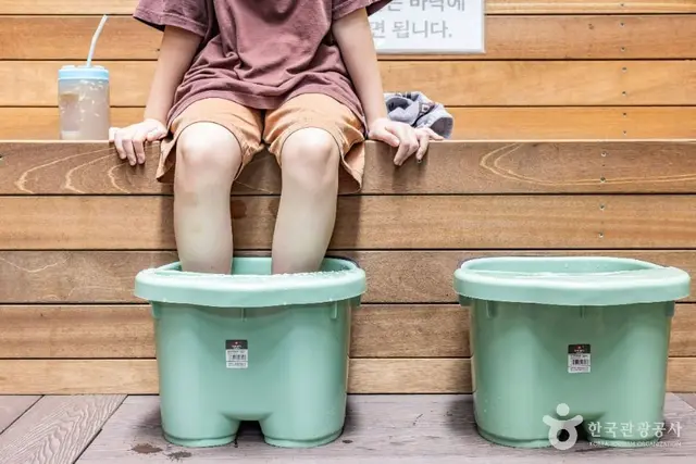 키위스파랜드 사진
