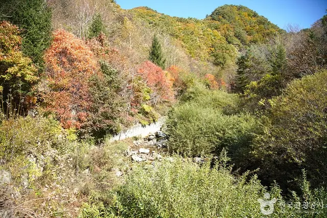 국립 복주산자연휴양림 사진