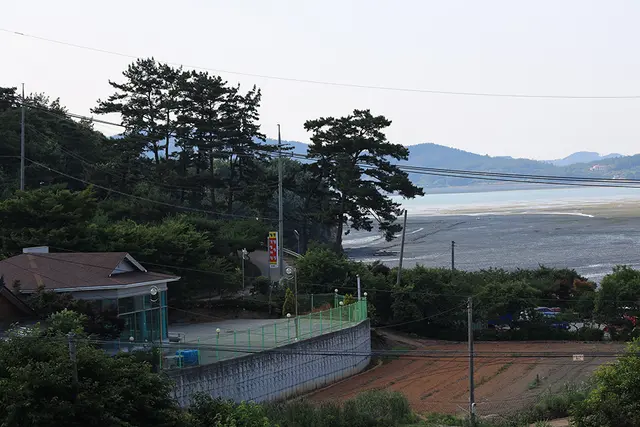 팔봉갯벌체험야영장 사진