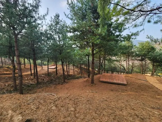 자일산림욕장 사진