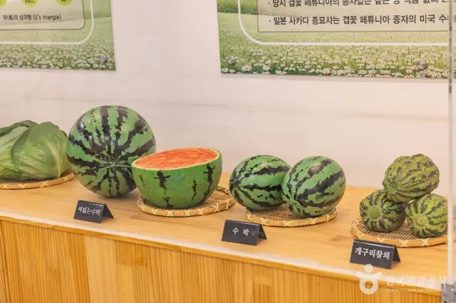 우장춘기념관 사진