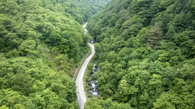 막동계곡 사진