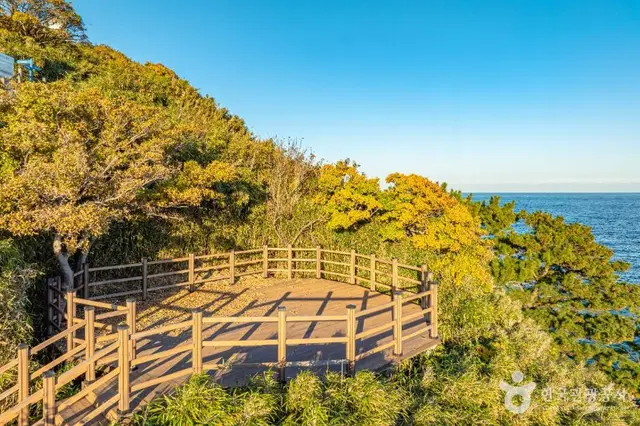 죽도산전망대 사진