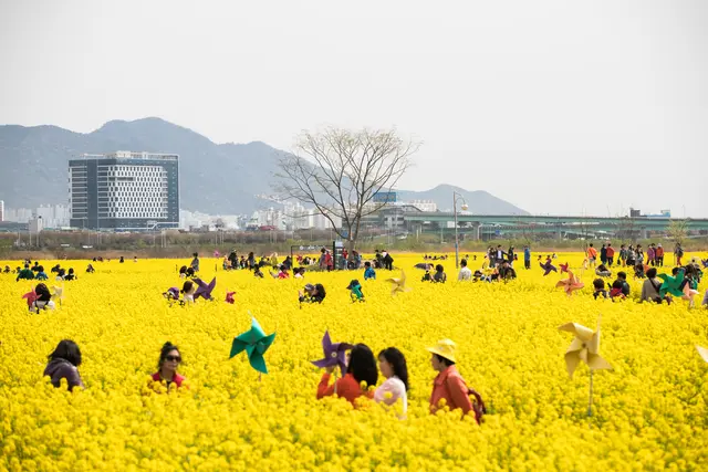 대저생태공원 사진