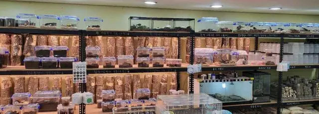 굼벵이브라더스 사진