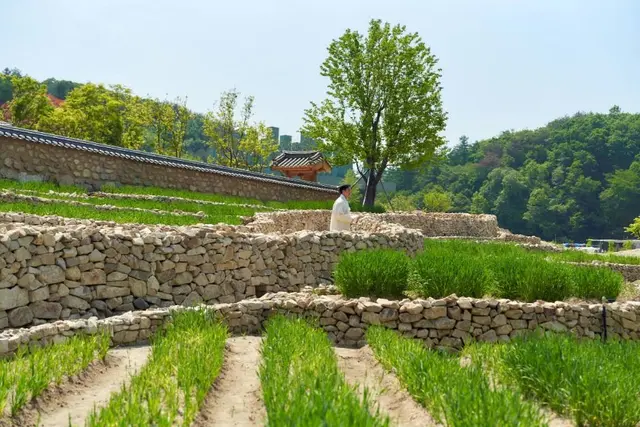메덩골정원 사진