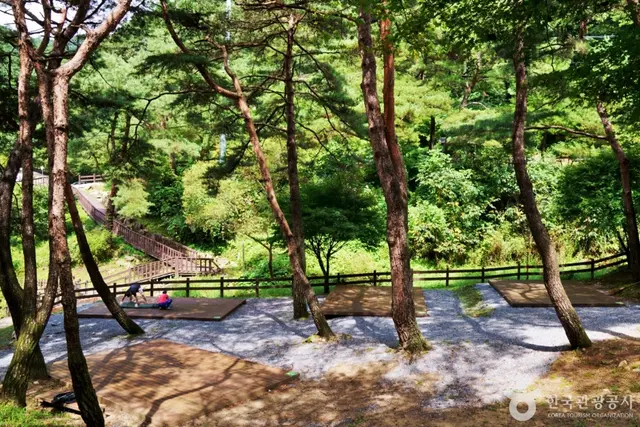 박달재자연휴양림 사진