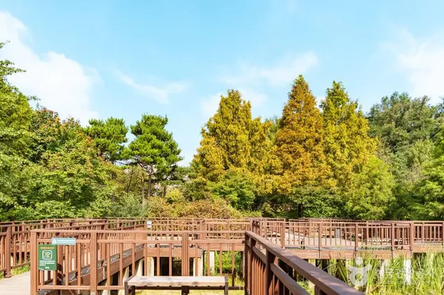 푸른수목원 사진
