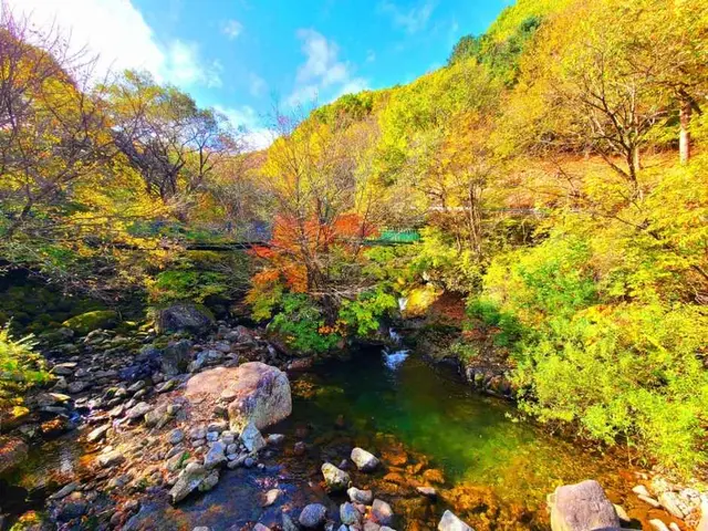 국립 지리산자연휴양림 사진