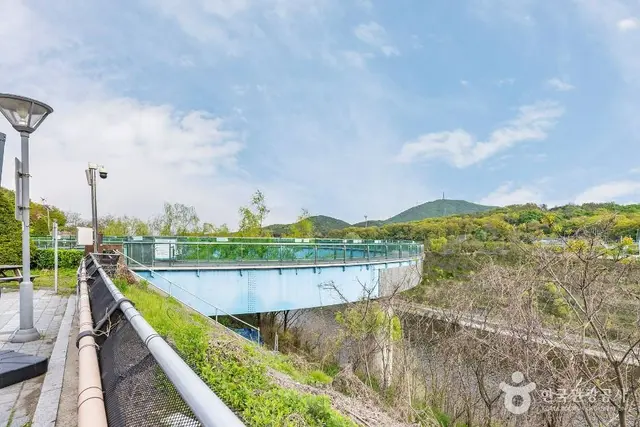 아라마루 전망대 사진