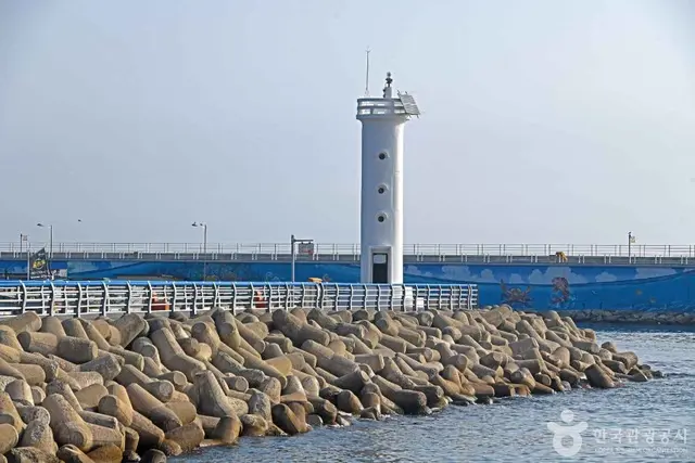 대진항 사진