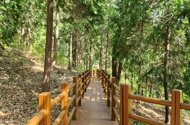 국립대운산치유의숲 사진