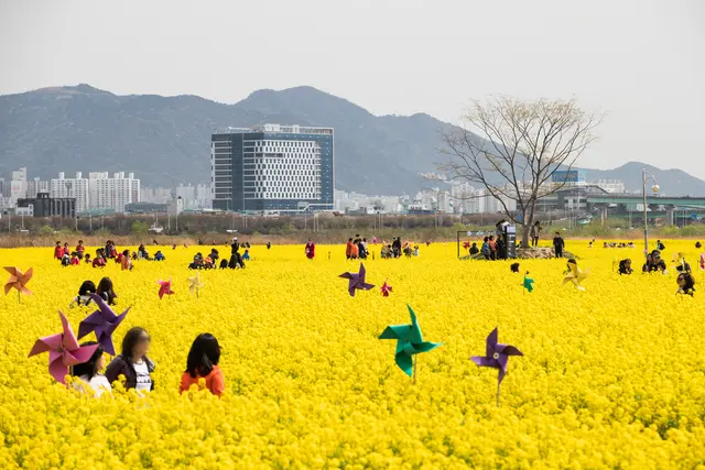 대저생태공원 사진