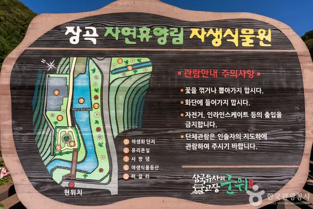 군위 장곡자연휴양림 사진