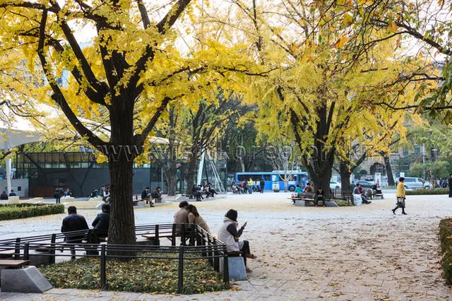 마로니에공원 사진