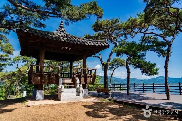 배알도 섬 정원 사진