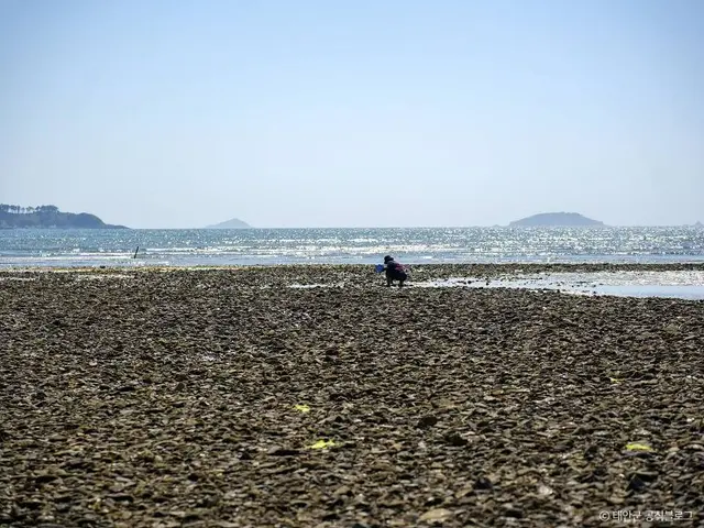병술만어촌체험마을 사진